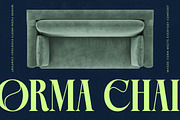 Bralge Modern Display Serif Font, a Serif Font by timelesstype.co (Thumbnail 4 of 20)