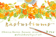 BUNDLE Golden-Yellow Flowers -85%, an Illustration by watercolorwild.graphics (Thumbnail 10 of 12)
