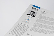 Professional Resume/CV Template, a Resume Template by HueNestify (Thumbnail 4 of 5)