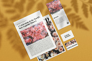 Mistar Elegant Serif Font, a Serif Font by Graphicxell (Thumbnail 4 of 10)