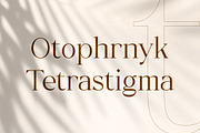 Typhone Serif, a Serif Font by Typia Nesia (Thumbnail 2 of 7)