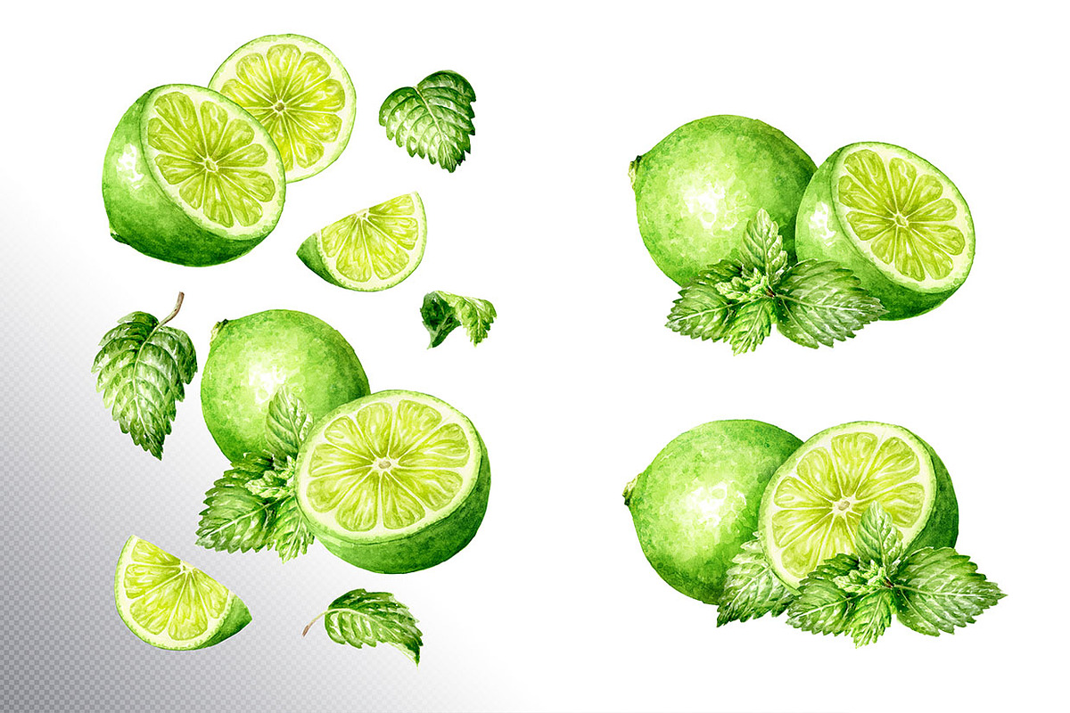 Lime citrus. Watercolor collection, a Food Illustration by Daria Ustiugova (Photo 5 of 21)