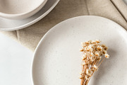 Neutral Stock Photo Bundle 1, a Photo by Savvy Stock Shop (Thumbnail 12 of 13)