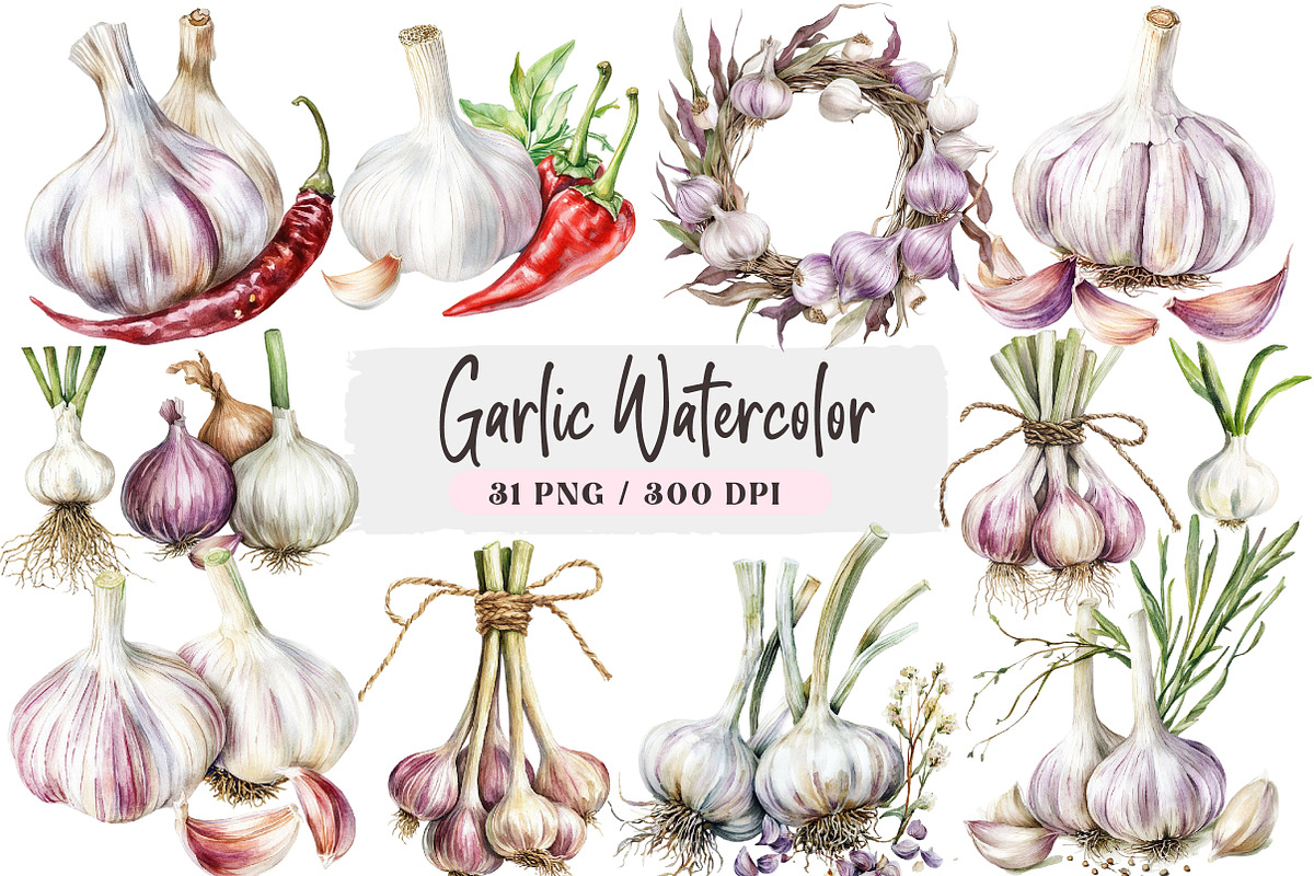 Garlic Watercolor Clipart Bundle, an Illustration by DreamArtGraphic (Photo 1 of 4)