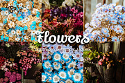 30 Flowers Lightroom Collection, a Preset Add-On by 3Motional (Thumbnail 1 of 11)