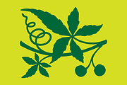 Printers Plant Ornaments Font, a Symbol Font by GG Design (Thumbnail 5 of 7)