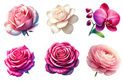 Watercolor Pink Flowers Clipart, an Illustration by Dream Creation (Thumbnail 5 of 6)