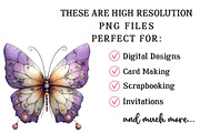 Whimsical Spring Butterfly Clipart, an Illustration by OK Design (Thumbnail 6 of 6)