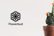 Hexagon Logo Premade, Big Bundle, a Branding & Logo Template by Artha Desain (Thumbnail 4 of 11)