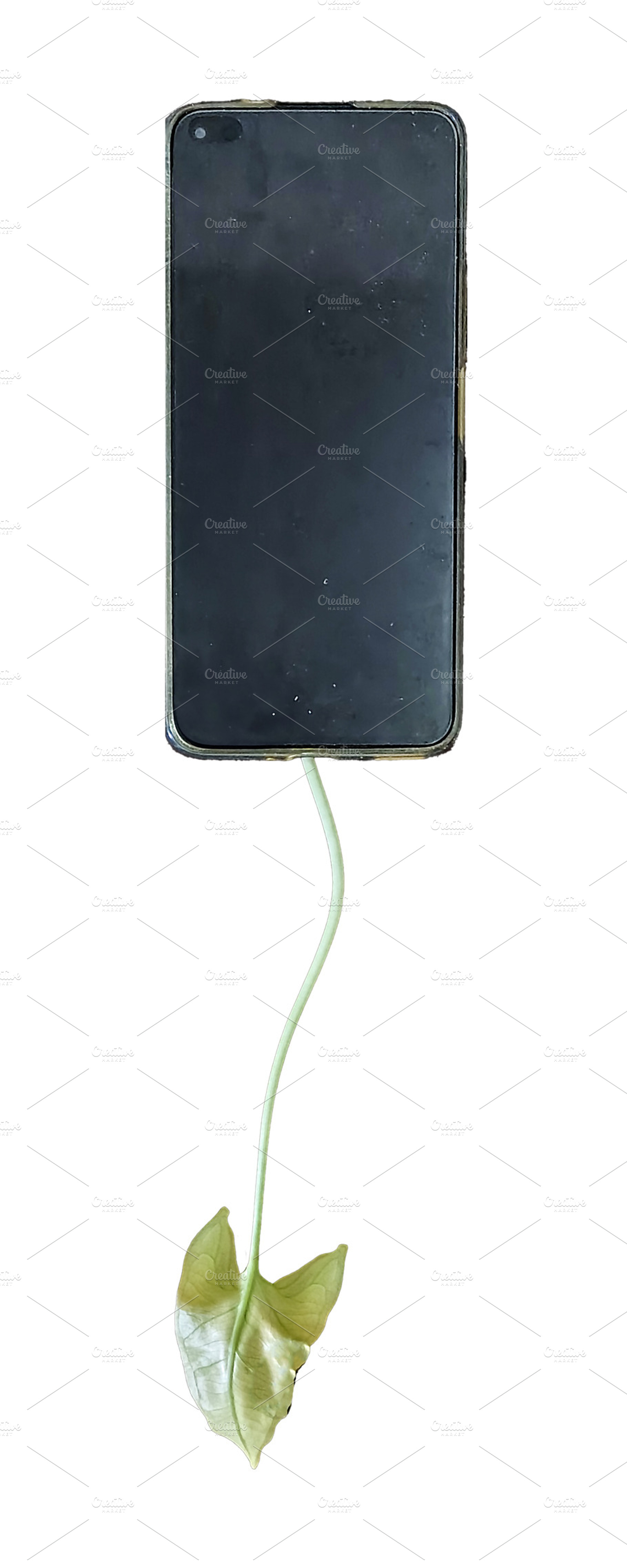 Mobile phone connected via USB cable to the stem of a plant leaf, a Technology Photo by DanFLCreativo