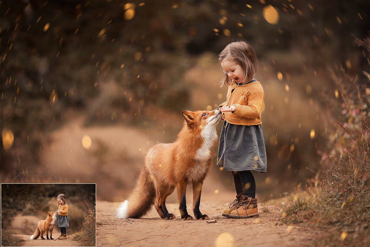 135 Glitter Overlays, a Brushes & More by HappyNews (Photo 9 of 9)