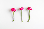 3x3 Floral Pattern Trios mockups, a Books & Magazine Mockup by oh.clarita (Thumbnail 8 of 8)