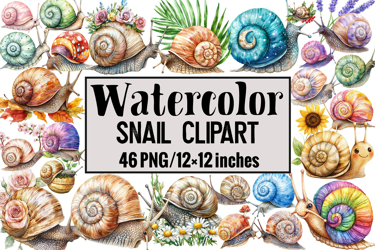 Watercolor Snail Clipart, an Illustration by Design Market (Photo 1 of 4)
