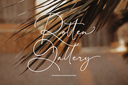 Emily Brunette - Signature Font, a Script Font by Sans & Sons (Thumbnail 6 of 9)