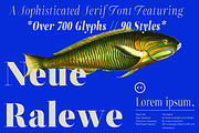 ZT Neue Ralewe Luxury Serif 90 Font, a Serif Font by zelow type (Thumbnail 24 of 24)