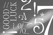 TAN - VIVRE LIBRE, a Serif Font by TanType (Thumbnail 10 of 17)