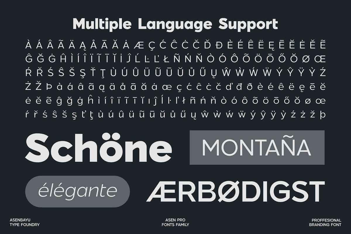 Asen Pro Fonts Family, a Sans Serif Font by Asenbayu (Photo 12 of 15)