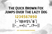 Pittsbrook Serif, a Serif Font by Twicolabs Fontdation (Thumbnail 3 of 12)