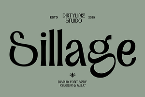 Dx Sillage Elegant Serif Font