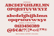 Bread Flour - Bold Retro Serif Font, a Serif Font by Prioritype Co (Thumbnail 8 of 10)