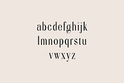Galaxy Finger Elegant Serif Font, a Serif Font by UICreative (Thumbnail 2 of 13)