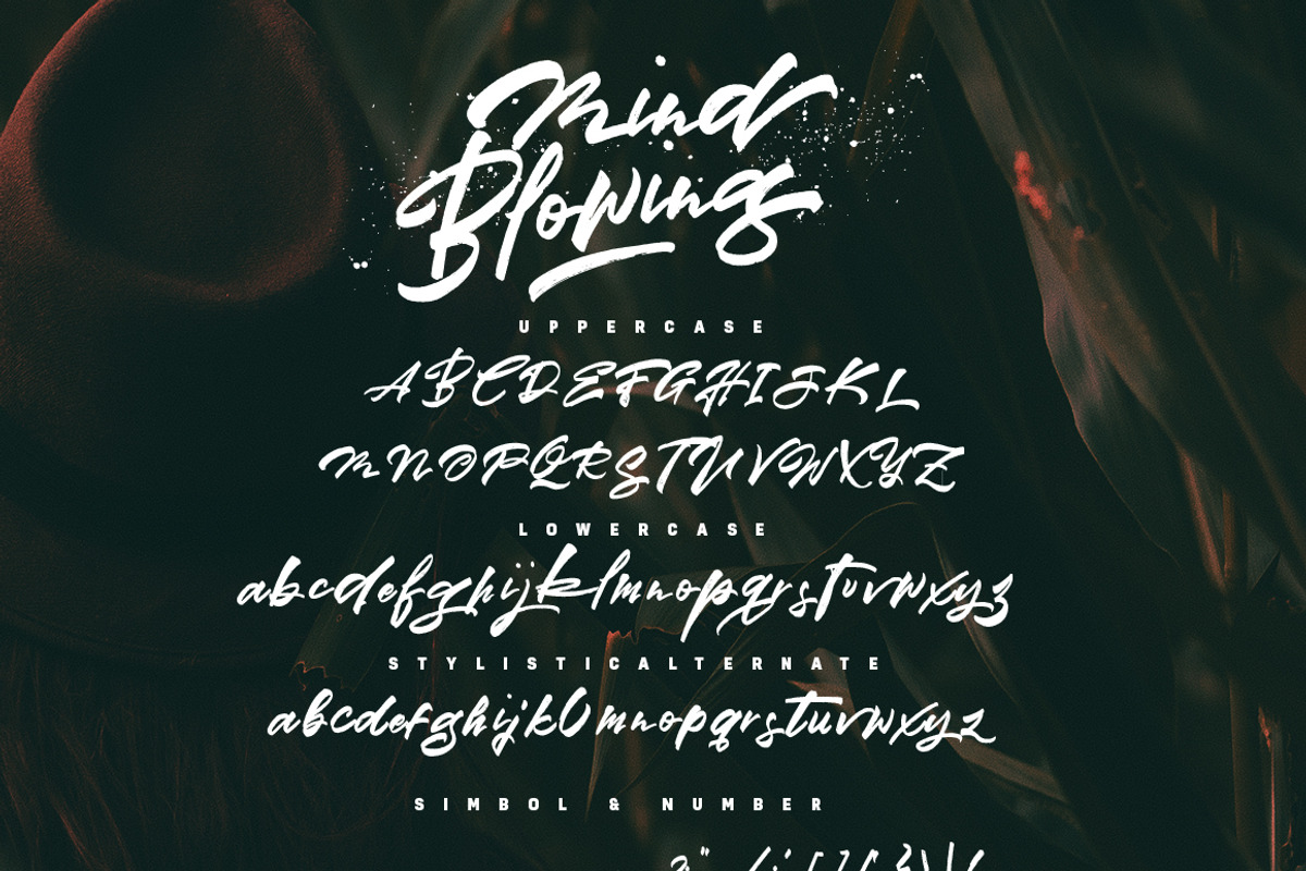Mind Blowing 3 Brush Font Set 40%OFF, a Script Font by Dirtyline Studio (Photo 17 of 18)