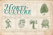 Horticulture - 130 plant vectors, an Education Illustration by BlackBird Foundry (Thumbnail 1 of 3)