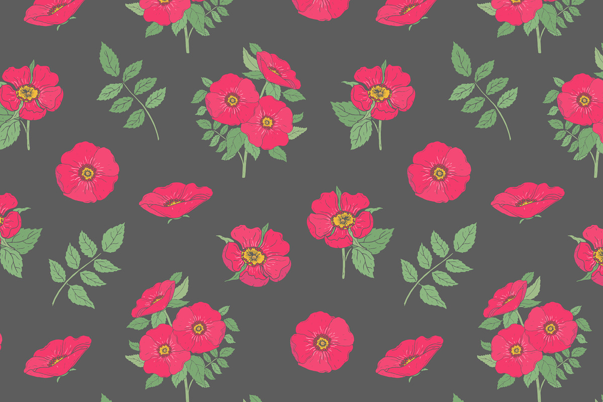 Dog-roses set and seamless pattern, a Decorative Illustration by Good Studio (Photo 5 of 9)