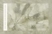 Organic Textured Backgrounds, a Background Graphic by Altea Design Studio (Thumbnail 10 of 20)