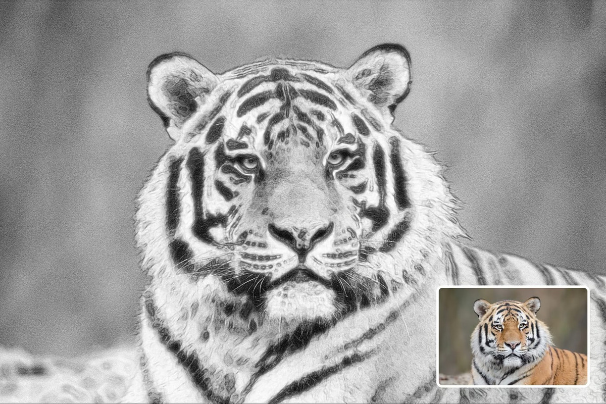 Pencil Drawings Effect Photoshop, a Layer Style Add-On by Hubzway (Photo 5 of 7)