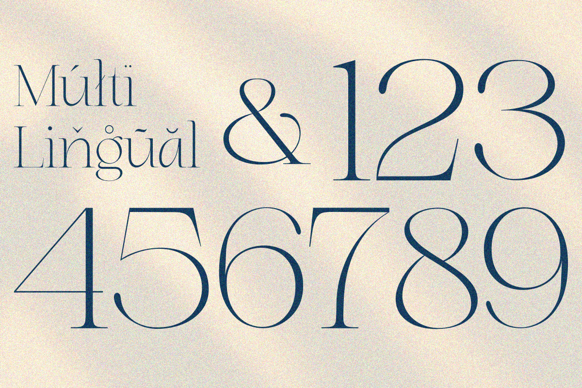 Dary, a Serif Font by zaaintype (Photo 9 of 10)