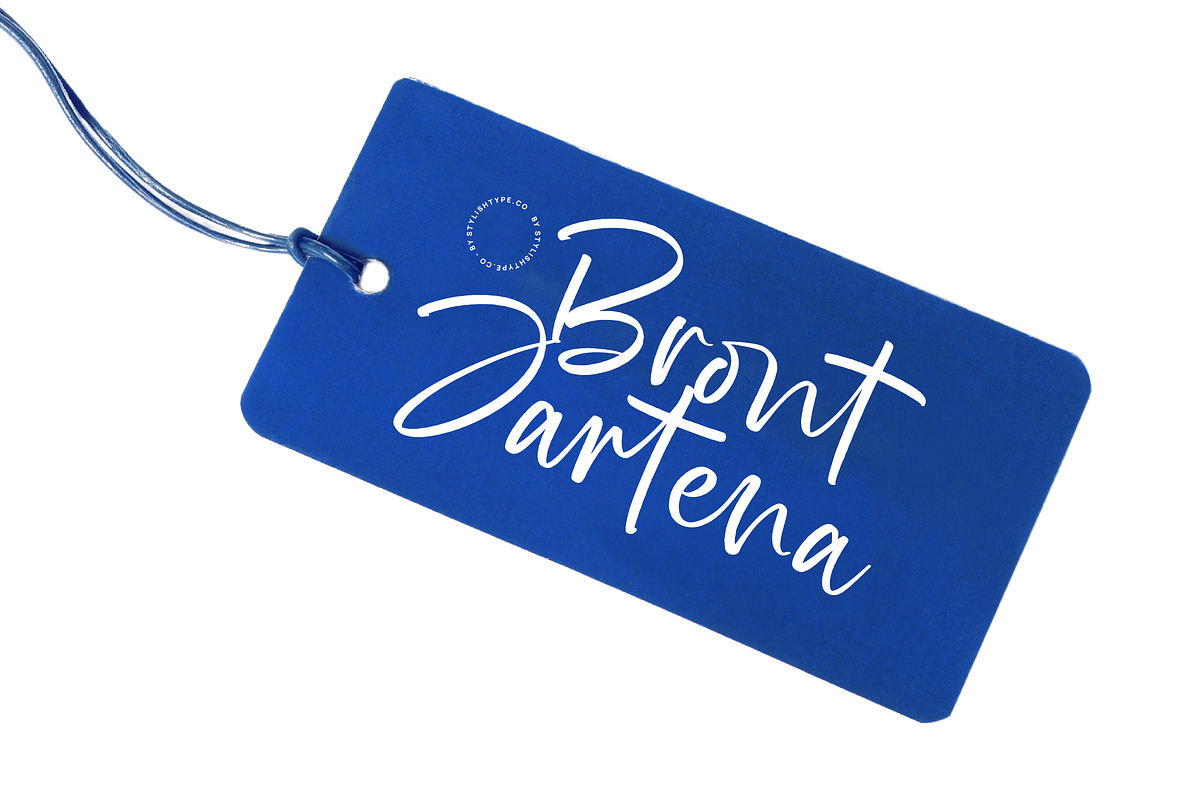 Bright Nastury Texture Brush Font, a Script Font by stylishtype.co (Photo 12 of 20)