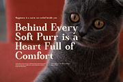 Quincho Bold Fashion Serif Font, a Serif Font by Graphicxell (Thumbnail 5 of 8)