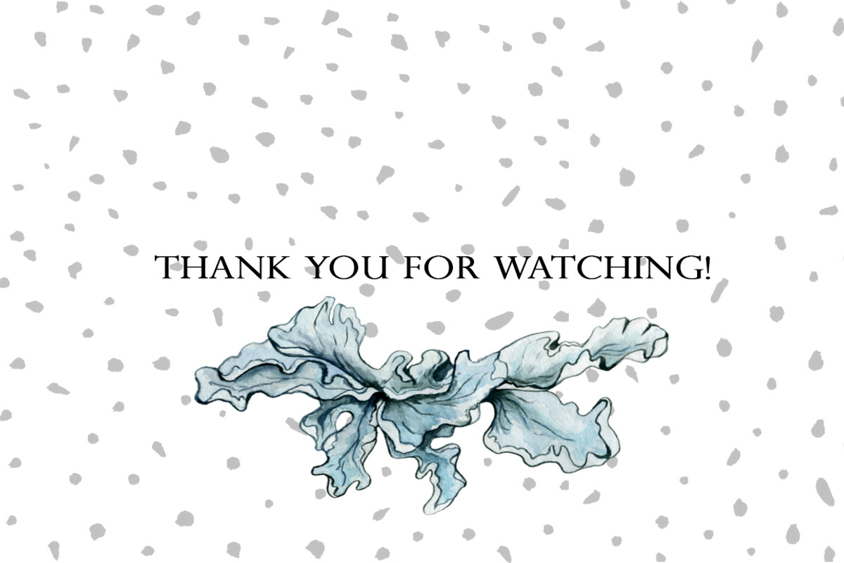 Lichens on the Surface, an Illustration by Ann Bright (Photo 16 of 16)