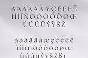 Retro Standard Serif, a Serif Font by Creative Foundry (Thumbnail 7 of 8)
