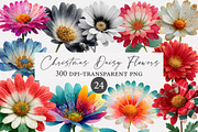 Christmas Daisy Flowers Clipart, an Illustration by Designworld (Thumbnail 1 of 5)
