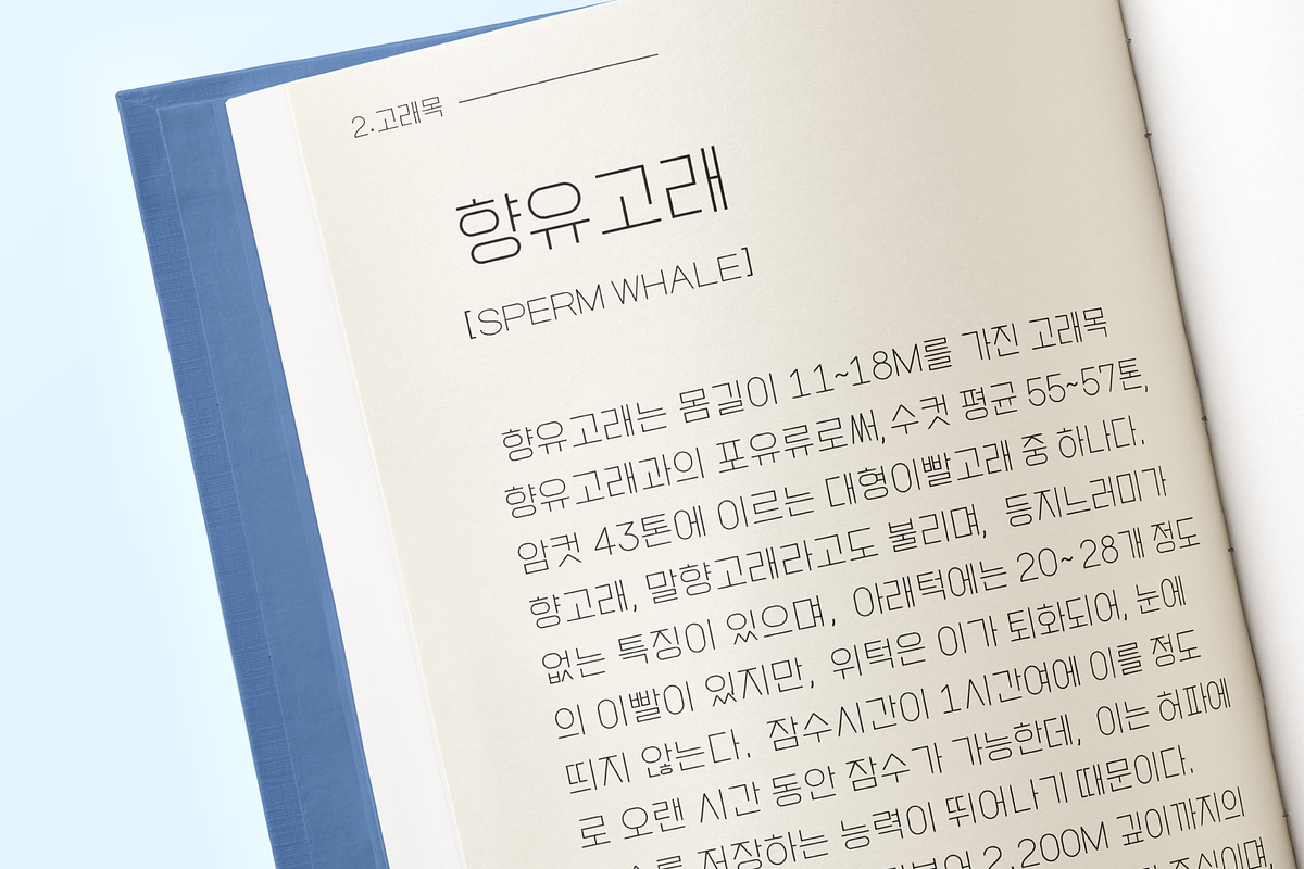 HU Mobydick KR / 20% OFF, a Sans Serif Font by heummdesign (Photo 6 of 6)