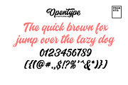 Historia Font, a Script Font by Fargun Studio (Thumbnail 9 of 14)
