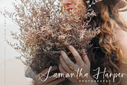 La Paloma Script + Catchwords, a Script Font by Callie Rian & Co. (Thumbnail 4 of 21)