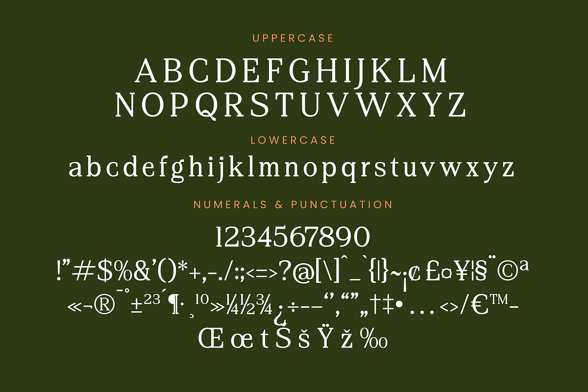 Regime Misfiles Serif Oldstyle Font, a Serif Font by Letterena Studios (Photo 13 of 15)