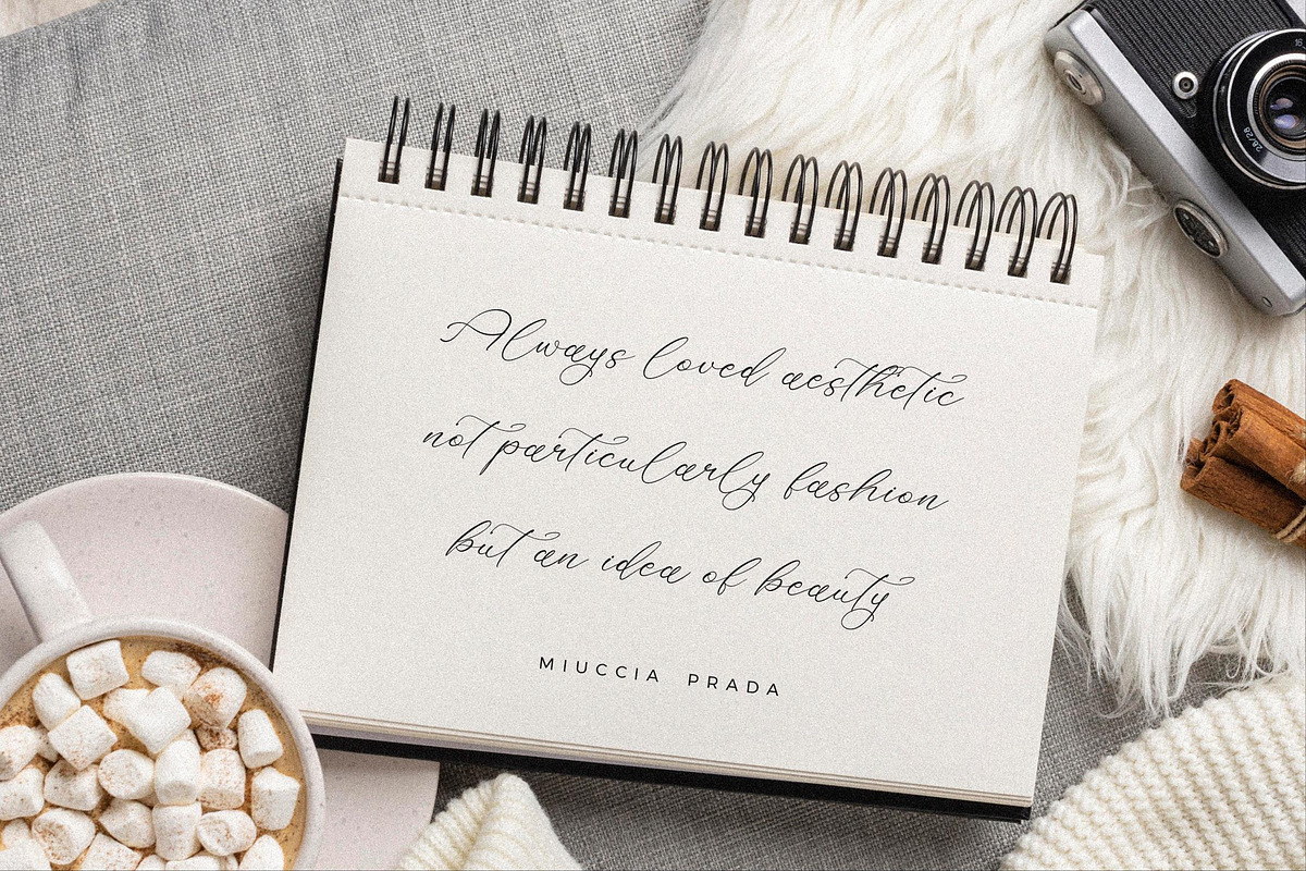 Holicakes Serfinah Beauty Script, a Script Font by Storytype Studio (Photo 2 of 15)