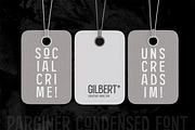 Parginer Display Font, a Sans Serif Font by Martype (Thumbnail 5 of 8)