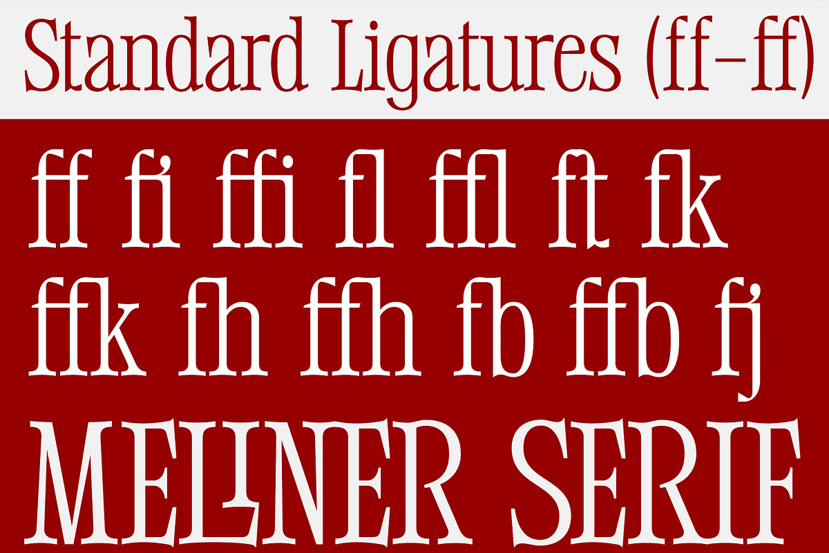 Meliner, a Serif Font by Dora Typefoundry (Photo 8 of 12)