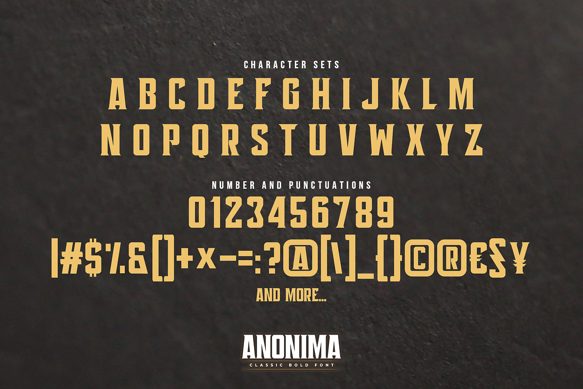 ANONIMA - Classic Bold Font, a Sans Serif Font by Gassstype (Photo 8 of 10)