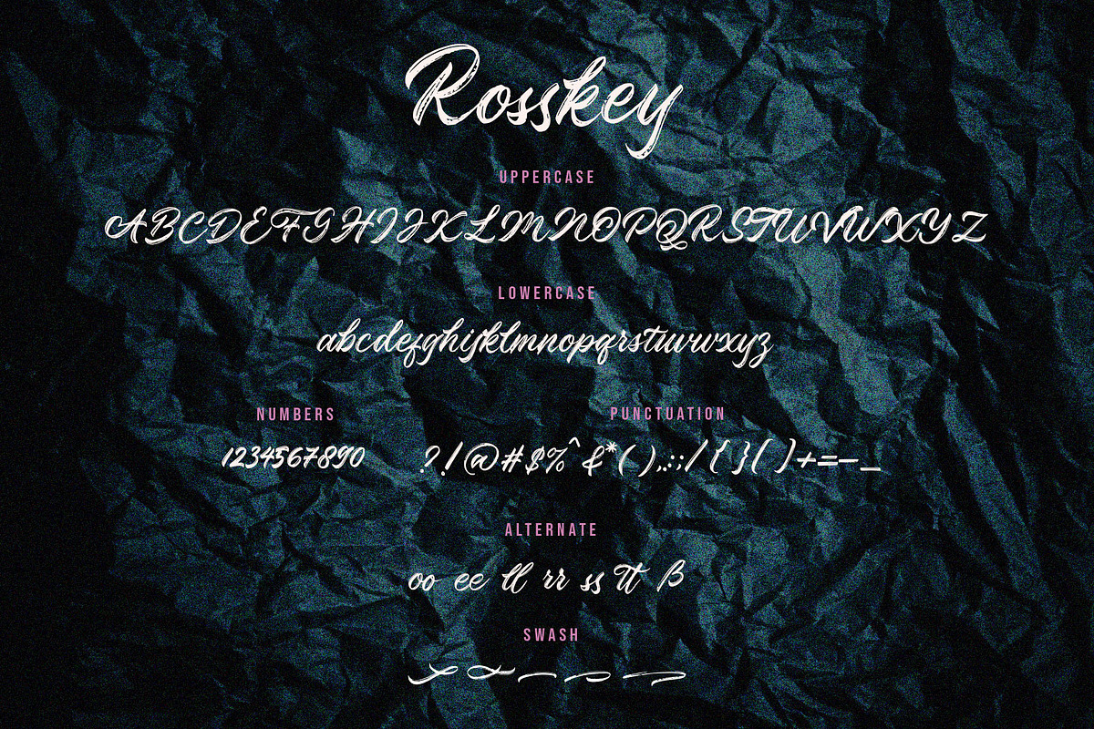 Rosskey - Brush Font, a Script Font by sancreastd. (Photo 9 of 9)
