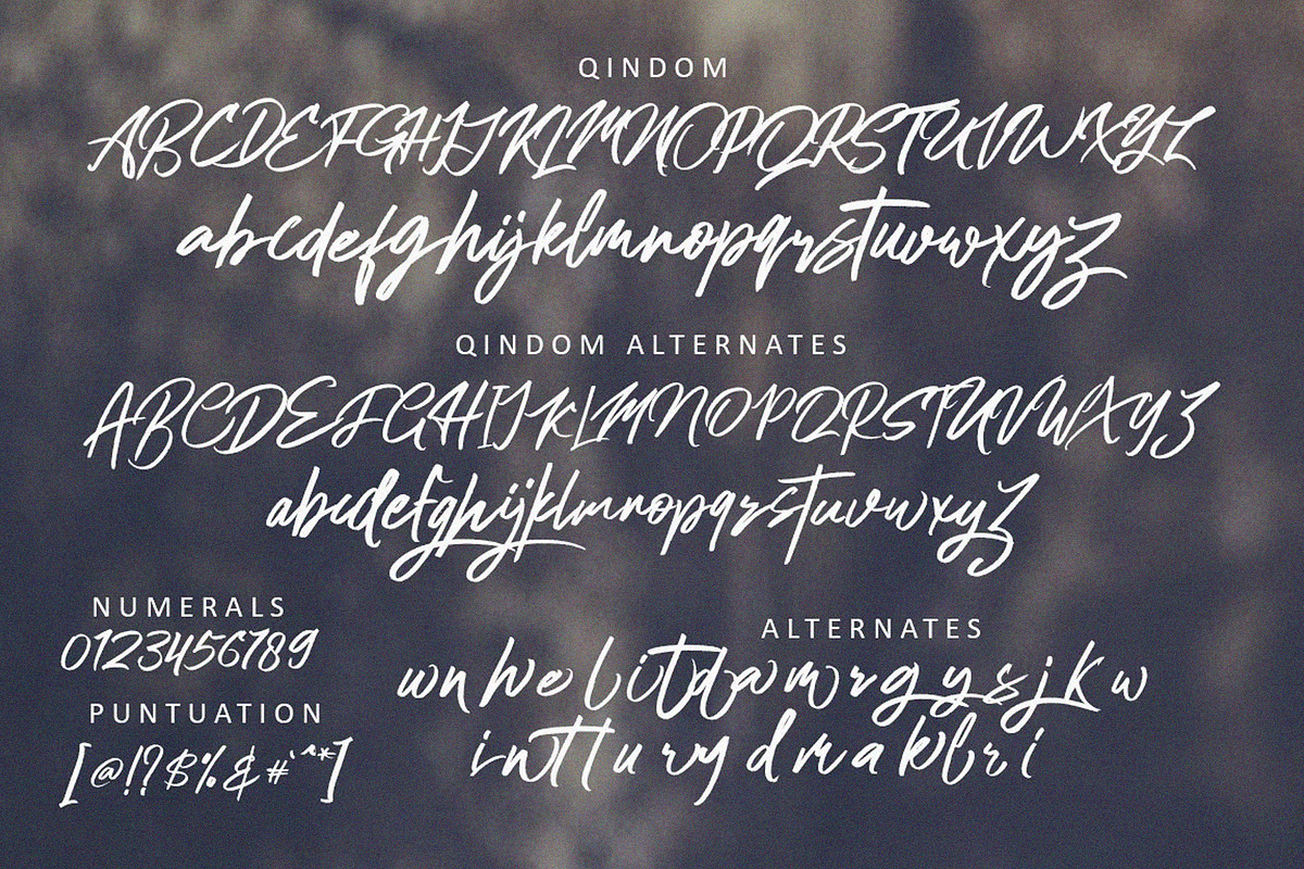 Qindom, a Script Font by Realtype (Photo 11 of 12)