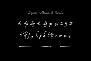 Mr Dj Signature Monoline Font