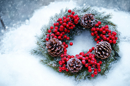 Festive holiday wreath with red berr, a Photo by Iftikhar Alam