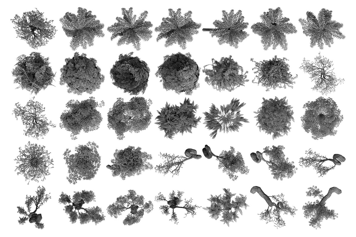 Tree Brushes - Willow Edition, a Brush Add-On by xresch (Photo 23 of 27)