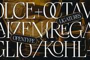Ristford - Elegant Luxury Serif, a Serif Font by Megatype (Thumbnail 3 of 11)
